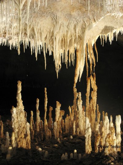 Abondantes stalactites du niveau inférieur